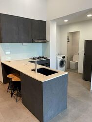 Loft @ Rangoon (D8), Apartment #577445771